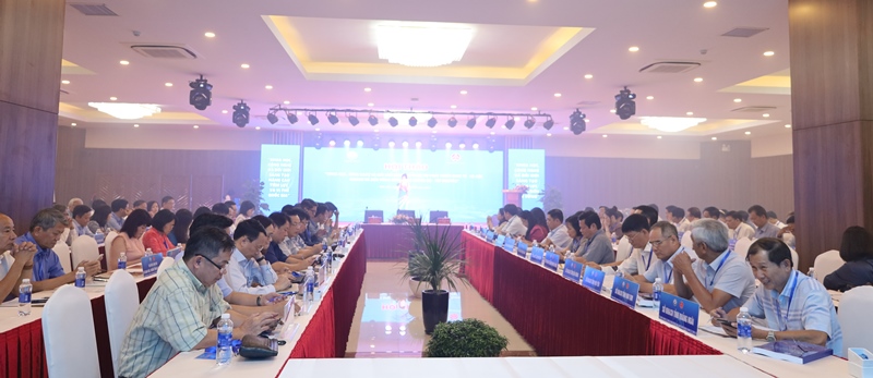 Không có ảnh